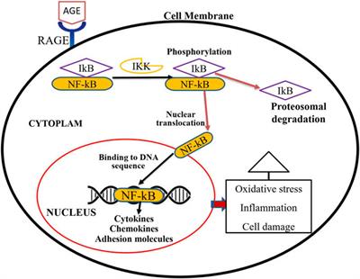 Endogenous advanced glycation end products in the pathogenesis of chronic diabetic complications